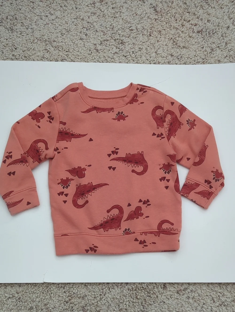 Old Navy Dinosaur Print Crewneck Sweatshirt Unisex 3T